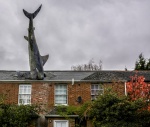 Wendy-Rooftop1-.jpg