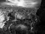 Miggy-Rooftops 1.jpg