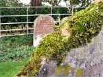 Paul W Mossy Top .JPG