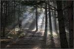 Into the light