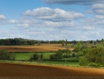 Roy Bloxham Grove looking to Bretch Hill 1.jpg