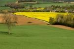 Paul B No. 1 Field Patterns..jpg