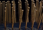 Micro Forest