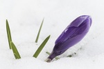 Defying the Beast from the East - Colin.jpg