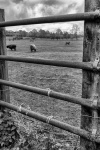 Diana Banbury Munitions-5353-Edit.jpg