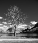 JohnE B&W Landscape.jpg