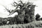 Neil - BW Landscape1.jpg
