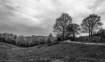 RichardB-B&W1.jpg