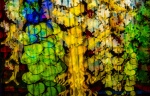 Abstract, by Martyn Pearse