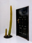 Cactus, by John Cavana