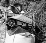 Wheelbarrows, by John Emmett