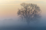 Kings Sutton Haze, by Bob Mahoney