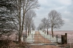 Frosty Morning, by Maureen Tyrrell