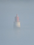 Harbour Mist, by Miggy Wild
