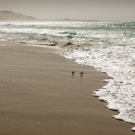Dawn_On the Sea Shore.jpg