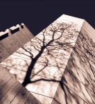 Diana_Brutal Shadows.jpg