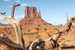 Jim_Monument Valley.jpg