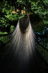 Martyn_Rope_bridge_2.jpg