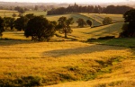 Golden Hour by Paul Brewerton