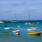 Boa Vista, by Dawn Willis