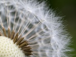 Nature's Timepiece, by Colin Lamb