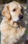 Portrait of Lina, by Lindsey Smith