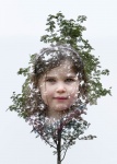 Rowan, by Bob Mahoney