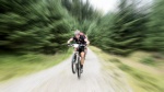 Mountain Bike, by John Emmett