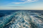 Cruising the Waves, by Beckie Lewis