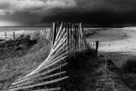 Gathering Storm, by Diana Saville