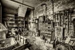 Now Where Did I Put That Trowel, by Jim Muller