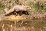 Reflecting On Life, by Jim Muller