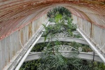 Canopy at Kew, by Martyn Pearse