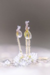 Tiny Iced Droplets on Moss Seedlings, by Gail Girvan