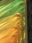 Sagrada Familia , coloured light on stone