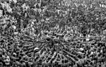 Tarragona Human Towers 2018