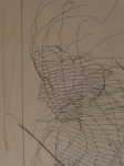 Face in wire