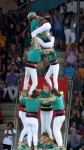 Green team