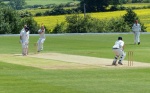 Cricket Match #3, by Paul Bretherton