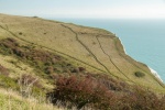 Dover Cliffs, by Elaine Argent