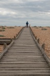 Dungeness boardwalk, by Elaine Argent