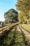 Fence and Shadow, by John Cavana
