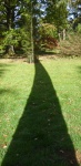 Westonbirt Arboretum, by Janet Broadbent
