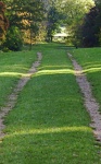 Westonbirt Arboretum, by Janet Broadbent