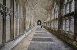 The Cloister, by Khatija Barday-Wood