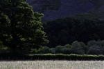F 2885.jpg