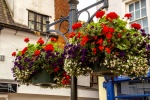 Banbury in Bloom, by Paul Brewerton