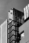 Brutalism - Diana Saville