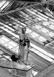 Oxford rooftop sculpture . Miggy Wild