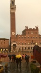 Soaked in Siena - Maureen Robinson
